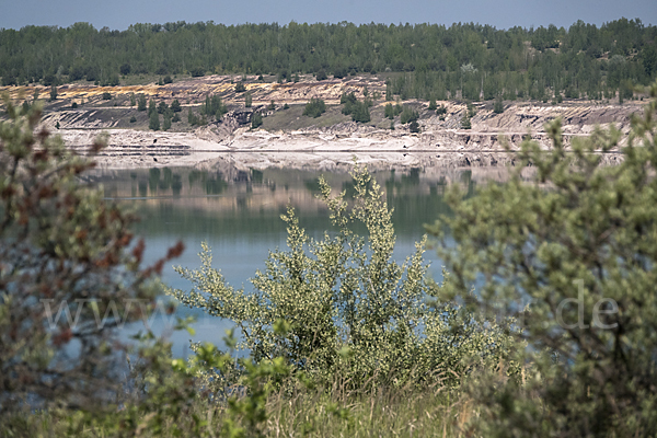 Kulturlandschaft (cultivated landscape)