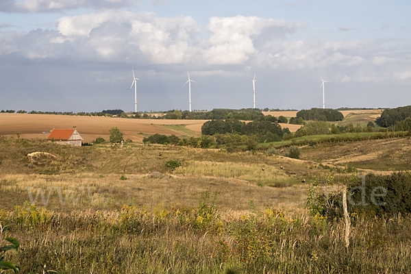 Kulturlandschaft (cultivated landscape)