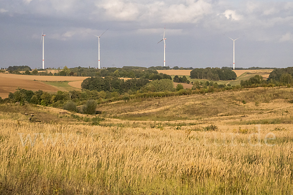 Kulturlandschaft (cultivated landscape)