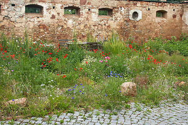 Kulturlandschaft (cultivated landscape)