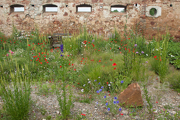 Kulturlandschaft (cultivated landscape)