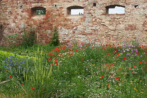 Kulturlandschaft (cultivated landscape)