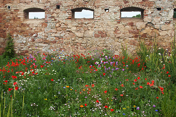 Kulturlandschaft (cultivated landscape)