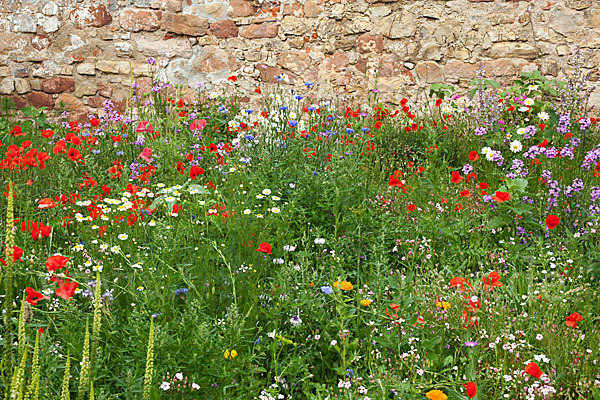 Kulturlandschaft (cultivated landscape)