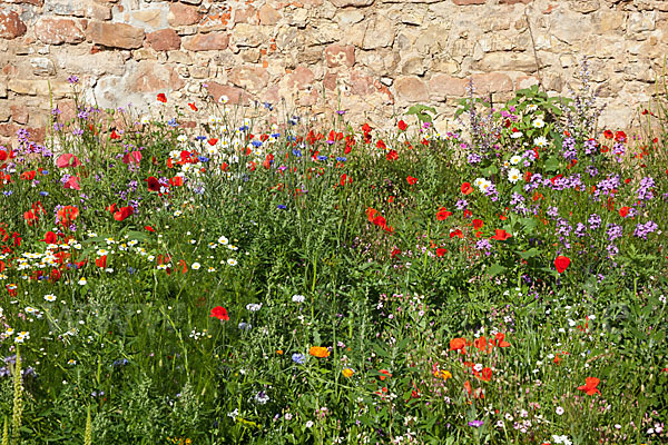 Kulturlandschaft (cultivated landscape)