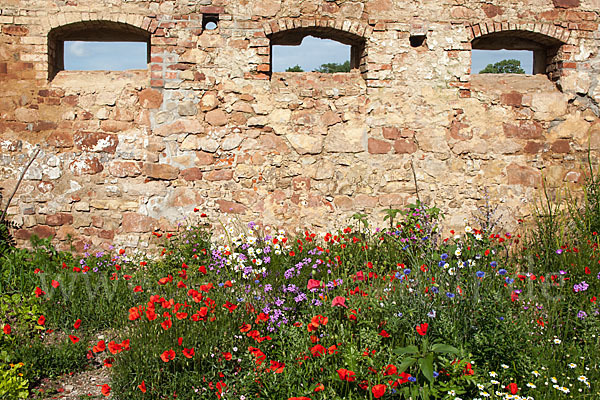 Kulturlandschaft (cultivated landscape)