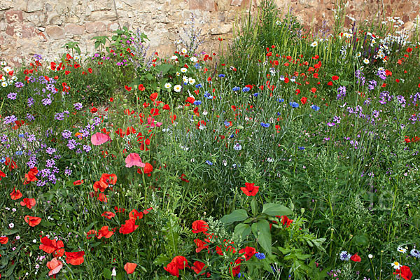 Kulturlandschaft (cultivated landscape)