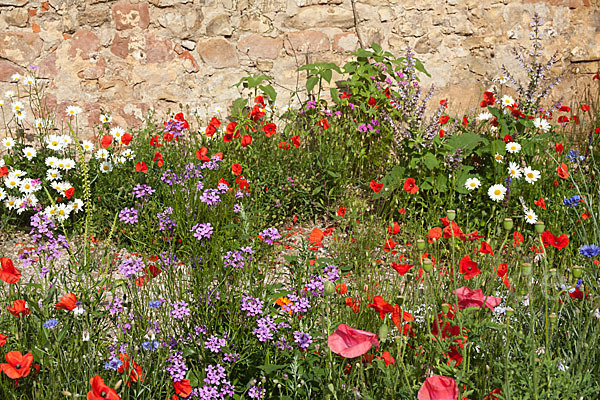 Kulturlandschaft (cultivated landscape)