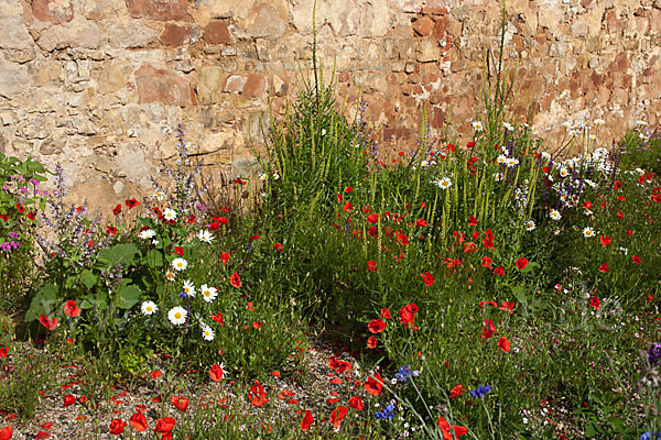 Kulturlandschaft (cultivated landscape)