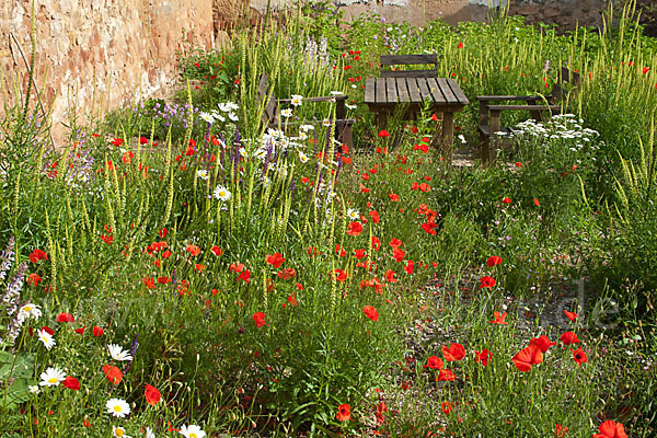 Kulturlandschaft (cultivated landscape)