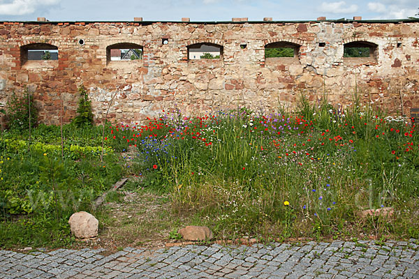 Kulturlandschaft (cultivated landscape)