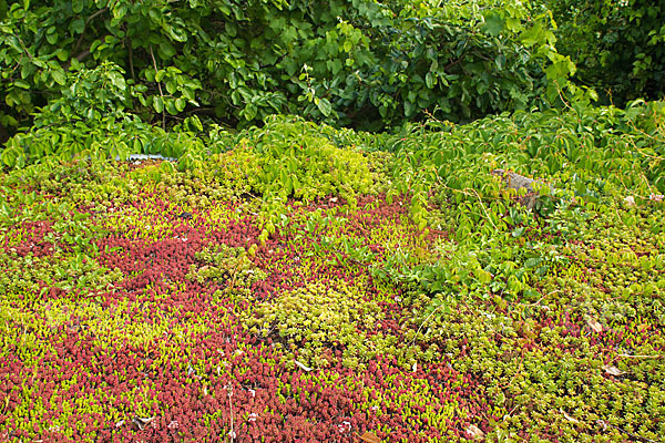 Kulturlandschaft (cultivated landscape)