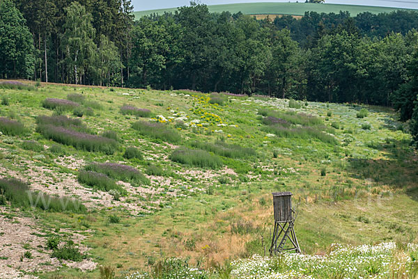 Kulturlandschaft (cultivated landscape)