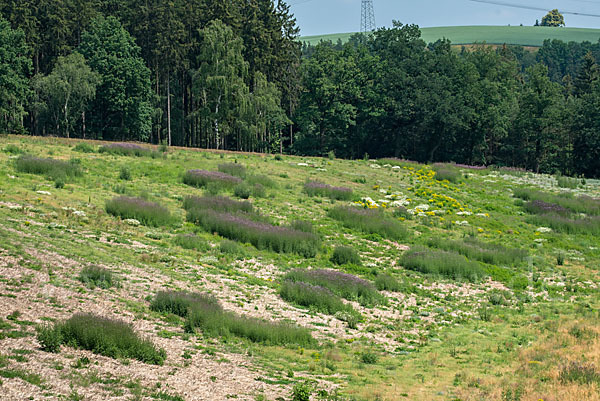 Kulturlandschaft (cultivated landscape)