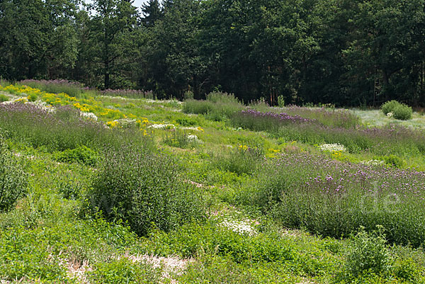 Kulturlandschaft (cultivated landscape)