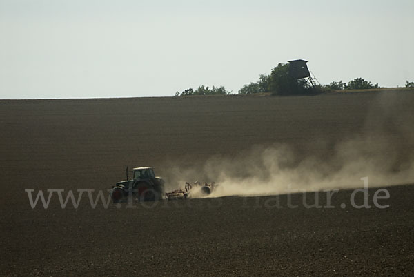 Landwirtschaft (agriculture)