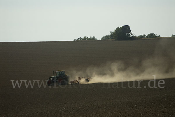 Landwirtschaft (agriculture)