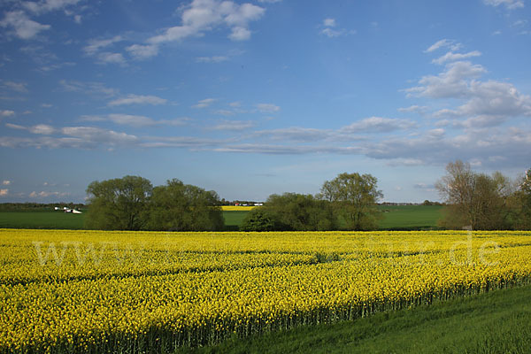 Landwirtschaft (agriculture)