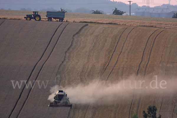 Landwirtschaft (agriculture)