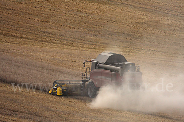 Landwirtschaft (agriculture)