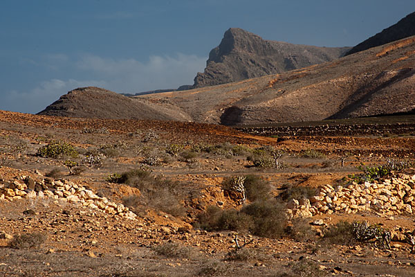 Lanzarote (Kanarische Inseln)