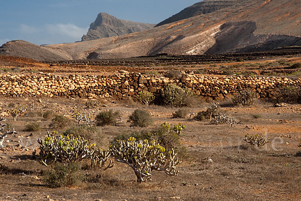 Lanzarote (Kanarische Inseln)