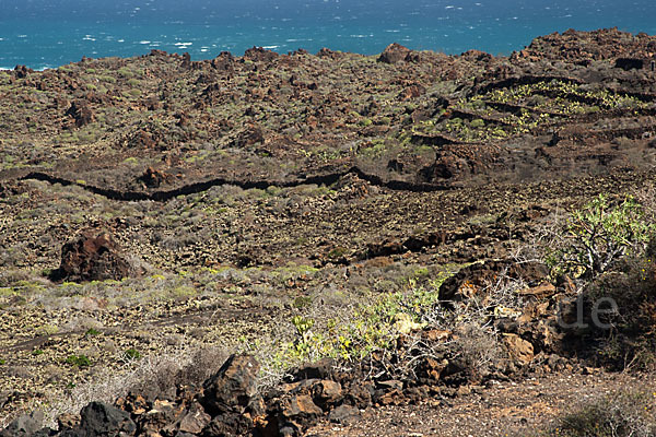 Lanzarote (Kanarische Inseln)