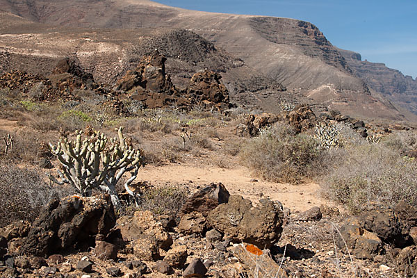 Lanzarote (Kanarische Inseln)