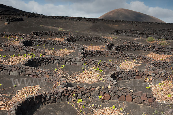 Lanzarote (Kanarische Inseln)