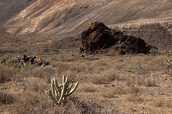 Lanzarote (Kanarische Inseln)