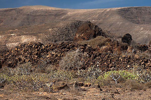 Lanzarote (Kanarische Inseln)