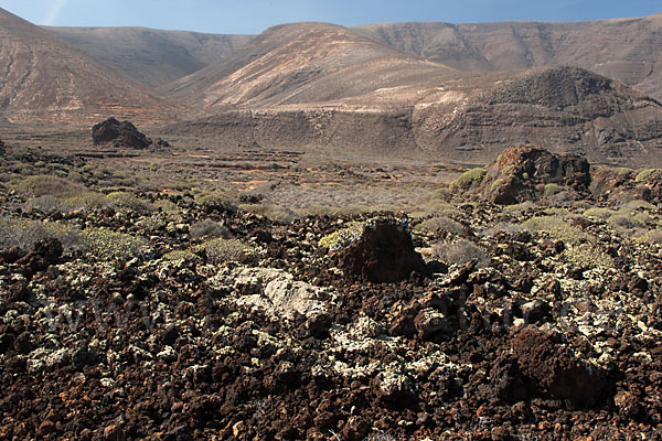 Lanzarote (Kanarische Inseln)