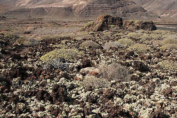 Lanzarote (Kanarische Inseln)