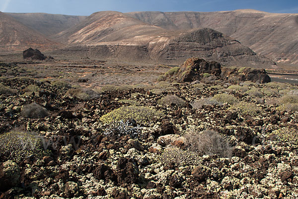 Lanzarote (Kanarische Inseln)