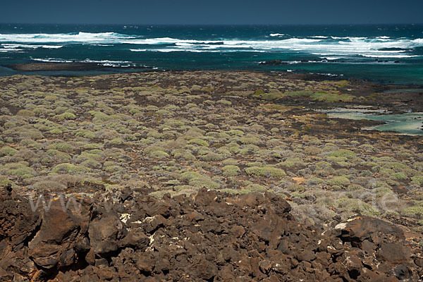 Lanzarote (Kanarische Inseln)