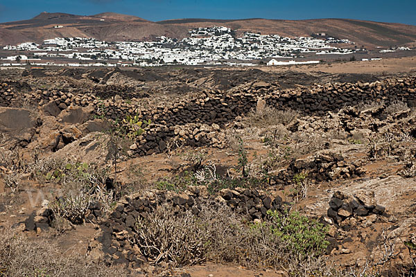 Lanzarote (Kanarische Inseln)