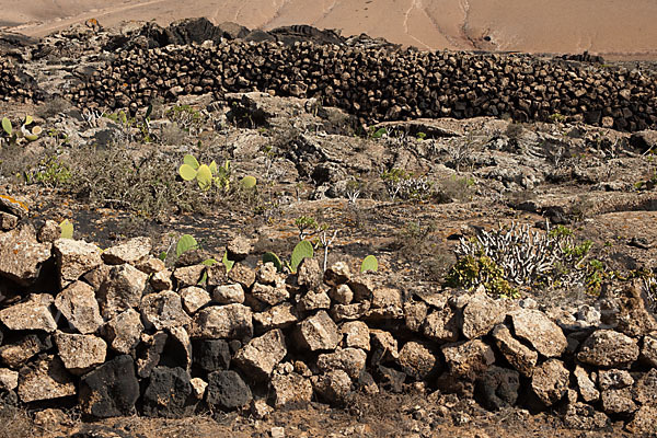 Lanzarote (Kanarische Inseln)