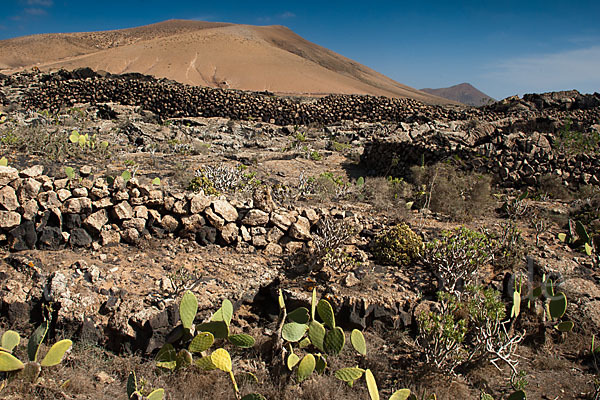 Lanzarote (Kanarische Inseln)