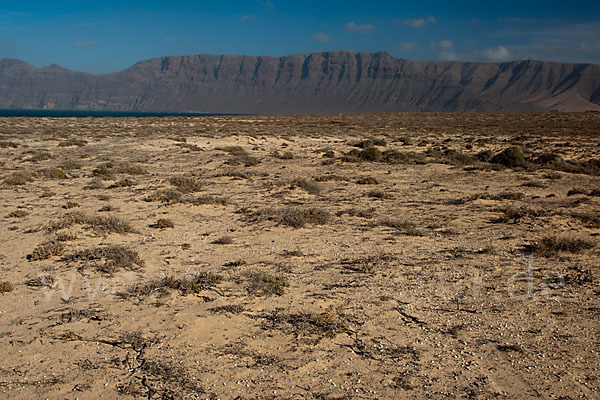 Lanzarote (Kanarische Inseln)