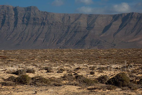 Lanzarote (Kanarische Inseln)