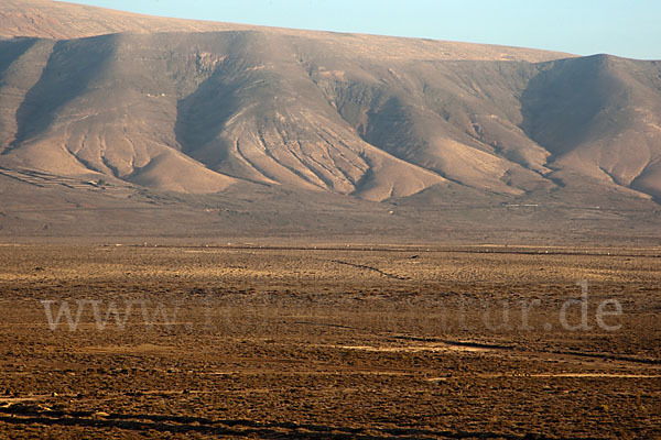 Lanzarote (Kanarische Inseln)