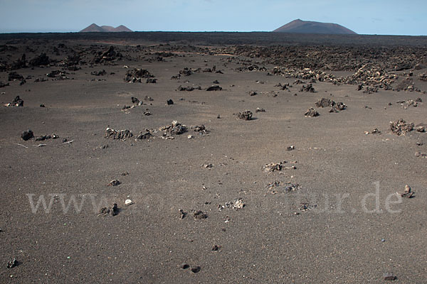 Lanzarote (Kanarische Inseln)