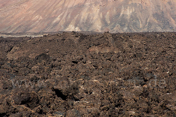 Lanzarote (Kanarische Inseln)