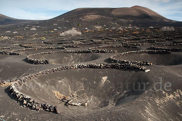 Lanzarote (Kanarische Inseln)