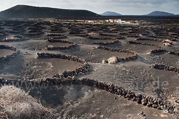 Lanzarote (Kanarische Inseln)