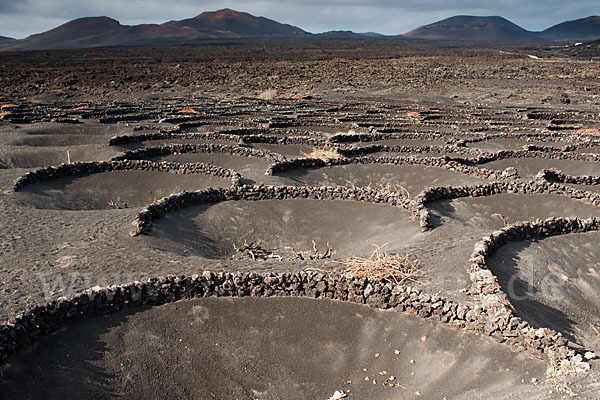 Lanzarote (Kanarische Inseln)