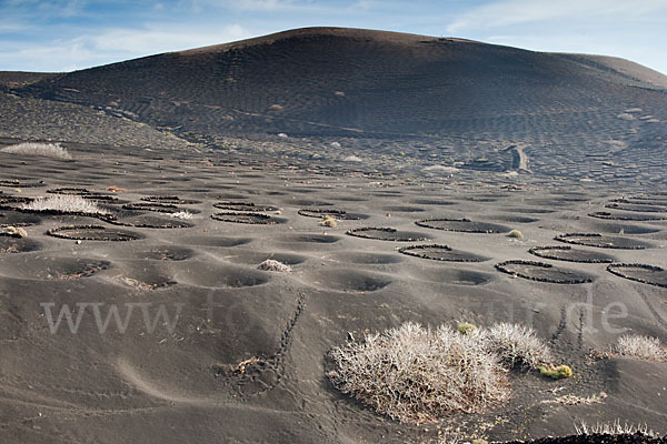 Lanzarote (Kanarische Inseln)