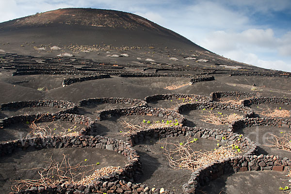 Lanzarote (Kanarische Inseln)