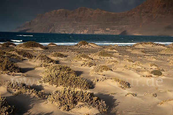 Lanzarote (Kanarische Inseln)