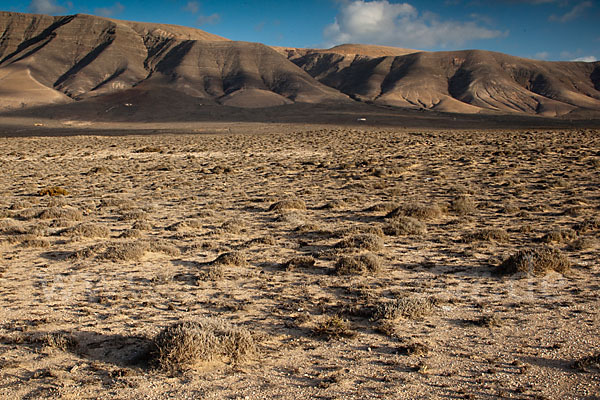 Lanzarote (Kanarische Inseln)